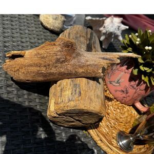 2 vintage pieces of driftwood; beautiful driftwood